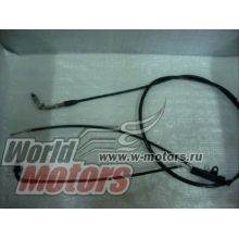���� ���� Honda TACT 50