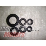 ����� ��������� 167FMM (250cc)