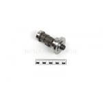 ���������� 165FMM (CBB250,D65,5) (250cc)