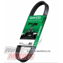 ������ ��������� DAYCO 36�940 (HP2001) (����.Arctic Cat,CF Moto,Suzuki)