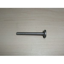 ���� ��������� �����  ������  (�1�-1601170) (�����, �.�����)