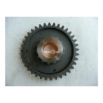 �������� ���� 1-�� ��������(36�) ���������� ���� 